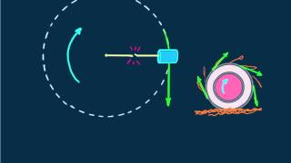 HewittDrewit PHYSICS 37Centripetal Force [upl. by Etnoid]