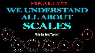 ALL ABOUT MUSICAL SCALES  A COMPLETE GUIDE [upl. by Franny]