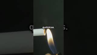 Cómo Dejar De Fumar 🚬 y Recuperar Tus Pulmones 🫁 [upl. by Evot846]