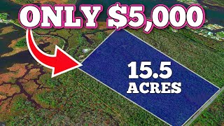 NEVER Buy Affordable Land If You Dont Know This [upl. by Ainsley366]