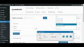 THEME PRESETS IN WOODMART THEME [upl. by Elirpa461]