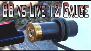 BB Fired at a Live 12 Gauge Shell [upl. by Nickerson162]