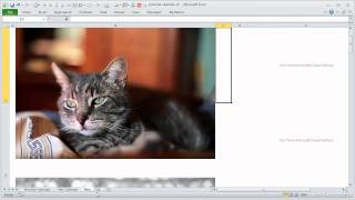 Picture Calendar Template in Excel  How does it Work [upl. by Jessen]