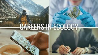 The 4 Types of Careers in Ecology  Careers in Biology and Environmental Science [upl. by Rhetta]