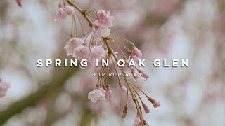 SPRING IN OAK GLEN  Cinematic Vlog Shot on Canon C70 4K 120FPS  Film Journal 26 [upl. by Oigolue470]