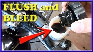 how to flush fill and bleed motorcycle disc brake system [upl. by Aimat]