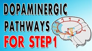 Dopaminergic Pathways [upl. by Siseneg]