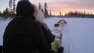 Auf HuskyTour in Norwegen und Lappland [upl. by Aduh]