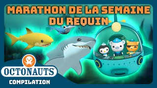 Octonauts  🦈 MARATHON DE LA SEMAINE DU REQUIN  🤿  Compilation  Dessins animés pour enfants [upl. by Odlauso572]