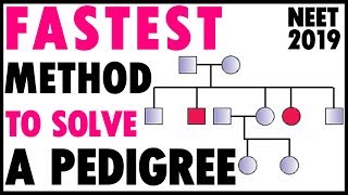 SOLVE Any PEDIGREE In Just 2 STEPSNEETNTA Short Trick For GENETICS Class 12NEET 2020 [upl. by Ardnaz714]