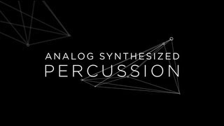 ANALOG SYNTHESIZED PERCUSSION [upl. by Bryan427]