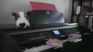 Michel Berger  La groupie du pianiste piano cover [upl. by Fredela]