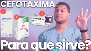 CEFOTAXIMA PARA QUE SIRVE  3 COSAS [upl. by Irep366]