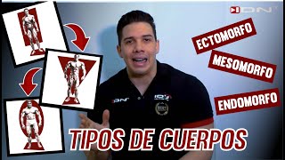 Tipos de cuerpos  ¿Cómo entrenarlos  ECTOMORFO MESOMORFO ENDOMORFO [upl. by Trahern555]