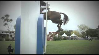 FEI Nations Cup 2011  Hickstead Preview 1 [upl. by Akinyt548]