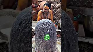 Mahamrityunjaya Mantra  Om Tryambakam yajaamahe 🔱 shivmahadevkashivishwanath tanvisenjaliya [upl. by Hanej]