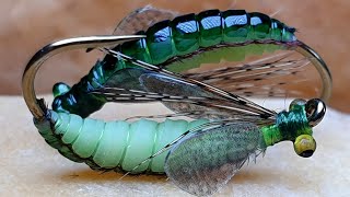 Caddis PupaFly Tying Caddis Pupa [upl. by Iarised]