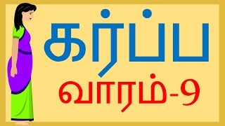 Pregnancy Week by Week  Tamil  Week 9  வாரம் 9 [upl. by Caves359]