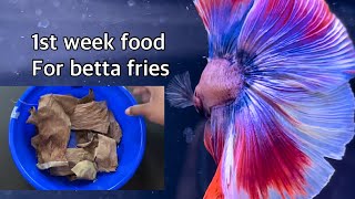 Infusoria culture  1st week food for betta fry Betta fish [upl. by Kcim]