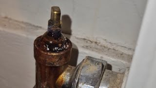 Leaking radiator valve 1 Minute Fix [upl. by Graves332]