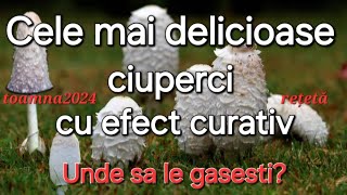 Delicatesa toamnei  Ciuperca cu peruca  Cum arata Unde se găsește [upl. by Katine]