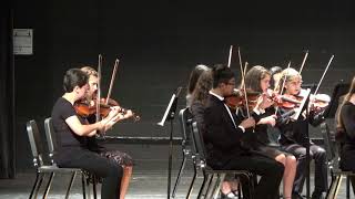 Suite for String Orchestra by Johann Sebastian Bach arr Vernon Leidig [upl. by Marylee]