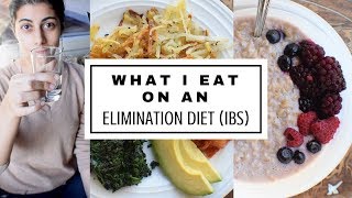 What I Eat in a Day for IBS  Bloating  Elimination Diets 101 [upl. by Nordine849]