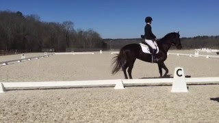 Beginner Novice Dressage Test A [upl. by Gunter]