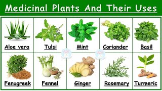 Medicinal Plants And Their Uses  25 Ayurvedic Plants Names  Medicinal Herbs  औषधीय पौधे  Plants [upl. by Scuram]