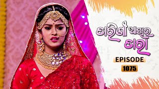 Tarini Akhira Tara  Full Ep 1075  1st Sept 2021  Odia Serial – TarangTV [upl. by Winchester]