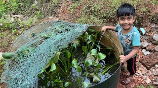 വീട്ടുമുറ്റത്തെ ചെറിയ മീൻകുളങ്ങൾ 👌 Fish tank [upl. by Farrar]