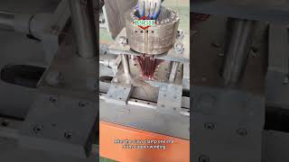 BSM70 Electric Motor Winding Puller For Extracting Copper Winding From Scrap Motors [upl. by Suirad691]