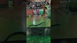 jaymeldi gujarati whatsappstatus new jaymeldi gujaratistatus youtubeshortvideo newstatus [upl. by Nitaj]