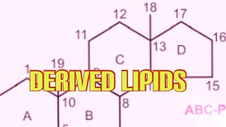 Derived Lipids Biochemistry [upl. by Carlynn]