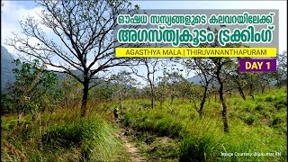 A Trip to Agasthyarkoodam Day1  അഗസ്ത്യകൂടം  Monsoon Medias Travel Stories [upl. by Lydnek]