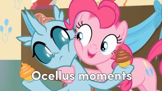 Ocellus moments [upl. by Camilla441]