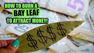 How To Burn Bay Leaves For Money │ Use A Bay Leaf To Manifest Prosperity [upl. by Fawcette143]