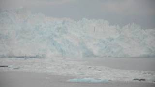 Hubbard glacier calving  one of the biggest ever HD video [upl. by Linet]