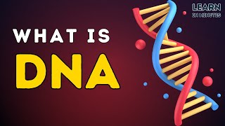 What is DNA  Deoxyribonucleic Acid  Basics Structure and Functions of DNA  Genetics [upl. by Iat723]