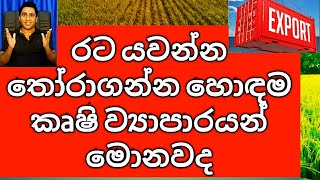 How to Start Agriculture Export business in Sri Lanka Recommended Fields and Ideas [upl. by Clement]