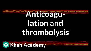 Anticoagulation and thrombolysis  Health amp Medicine  Khan Academy [upl. by Sitoiganap577]