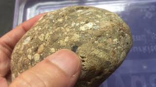 359 Grams Lunar Meteorite for Sale [upl. by Nerro]