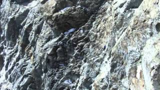 Hervé Barmasse opens a new route Solo Ascent Of Matterhorn  Cervino [upl. by Salter620]