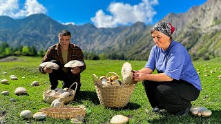 Collecting Wild Mushrooms in Azerbaijan’s Mountains  Traditional Mushroom and Potato Recipe [upl. by Castera]