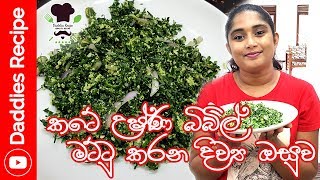 කටේ උෂ්ණ බිබිල් මට්ටු කරන කතුරුමුරුංගා කොළ සම්බෝල හදමු  Kathurumurunga Sambol Recipe [upl. by Sower720]