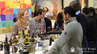 Senti Vini Imagefilm 2014 [upl. by Osbert]