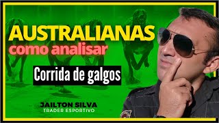 CORRIDAS DE GALGOS AUSTRALIANAS como fazer uma análise SIMPLES E RÁPIDA [upl. by Rodriguez]