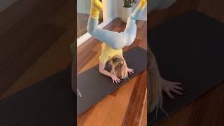 Yoga forearm stand So fun to practice these yogagirl fitness [upl. by Ecnarwal991]