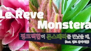 4K핑크백합 르네브가 몬스테라를 만난 2배속 교회꽃꽂이 Church flower Arrangement using Le Reve amp Monstera [upl. by Hoagland]