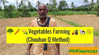 Chouhan Q Bed preparation method in Vegetable Farming [upl. by Karlene]